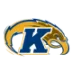 Kent State Golden Flashes Logo